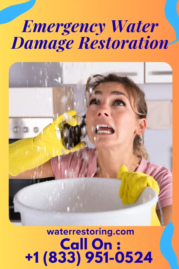 Emergency Water Damage Restoration in Dovesville, SC