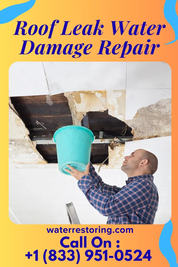 Roof Leak Water Damage Repair in Dovesville, SC